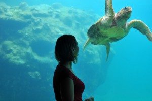 Femme devant tortue d'aquarium